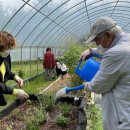 충청남도 예산군 치매안심센터 이미지