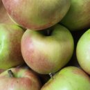 은영가족농장 이미지