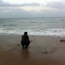 새만금종합수산시장 이미지