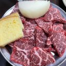레드175 이미지