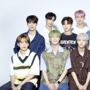 하우하우스(How House) 이미지