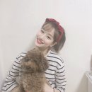 쭈아리 네이버블로그