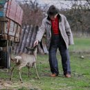 시립서부노인전문요양센터 | 성산동요양원 시립서부노인전문요양센터 편리한 접근성 자랑