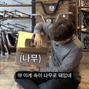 골드인사이트 이미지