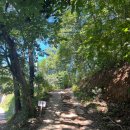 가랑잎새 이미지