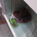 공원옆동물의료센터 이미지