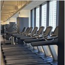 다짐핏헬스 이미지