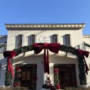 봄을 부르는 생화 플로리스트 | [대전]대전 빌라드파티앤 다녀온 솔직후기 대전 돌잔치·각종 파티 장소 추천