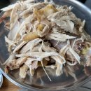 오로지김치한포기 이미지