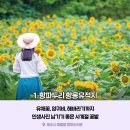 여름철에 꼭 가야할 제주 명소15 이미지