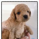 멍앤멍스 이미지