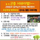 8.10(목)방학특집 숲속곤충 서바이벌(물총)_오후2시_초등학생 어린이 이미지