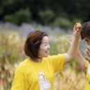 알찬유정란