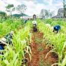 바다그리다 이미지