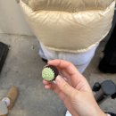 하쯔 베이커리 이미지