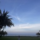 키다리약국 | [25. 4.11-12] 나트랑 여행