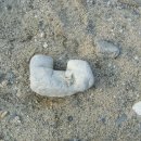 피미농장 이미지