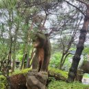 가족레저 체험코스 이미지