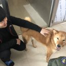 (주)디케이코리아 네이버블로그