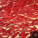 신일상사 이미지