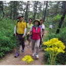 연길농장 이미지