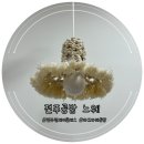 전주원데이클래스 :: 느웨에서 마크라메 전구 만들었어요!