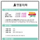 고양이호텔 캣블리쎄 네이버블로그