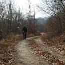 청송괴정식당 Daum카페