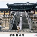 불국사 | 경주 불국사 관람 후기 근처 카페 브레스커피웍스까지 완벽 일정