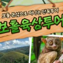 강투어