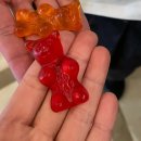 도시상징광장1 | 프랑크푸르트 여행 | 호텔 • 한식당 •펍 • 카페 • 뢰머광장 • 구시가지 • 클라인마크트할레