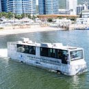 수영강변로1 이미지