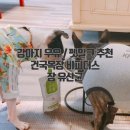 씨제이 목장 이미지