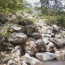 밭탕골약수터 이미지