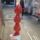 왕가탕후루중계 이미지