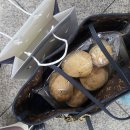 GS늘푸른 | 역삼 GS아트센터 연극 라이프 오브 파이 둘공 후기: 소년미 넘치는 박강현 배우의 파이, 퍼펫티어와...