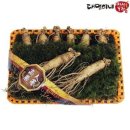 대명농장 이미지