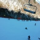 대마초등학교 이미지