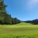 오라골프존 이미지