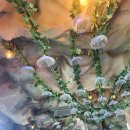 조각공원 이미지