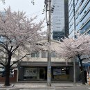프로파일커피로스터스 | [금천구ㅣ가산동] 원두 납품부터 맛있는 블루베리향 스페셜티 ‘프로파일커피로스터스’