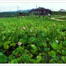 굴전여가캠핑장 이미지