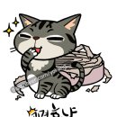캐릭터그루밍 이미지