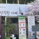 발칙한카페우디 이미지