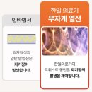 지수 의료기 | 한일의료기 전기매트, 전자파 걱정 없는 겨울 침구템 찾는다면?