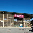 참우농장 이미지