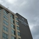 함덕언니 | 제주 글로스터호텔 함덕 오션뷰 후기, 가성비 좋은 4성급 호텔