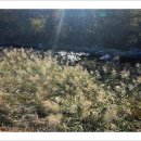 치악산둘레길 6코스 매봉산자락길 | 치악산 둘레길 6코스(11월 3일)..매봉산 자락길(어게인3)..