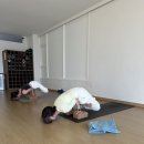 오르아요가 이미지