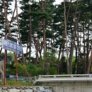 내린천솔밭민박 이미지